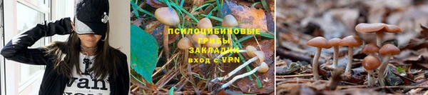 спайс Краснотурьинск