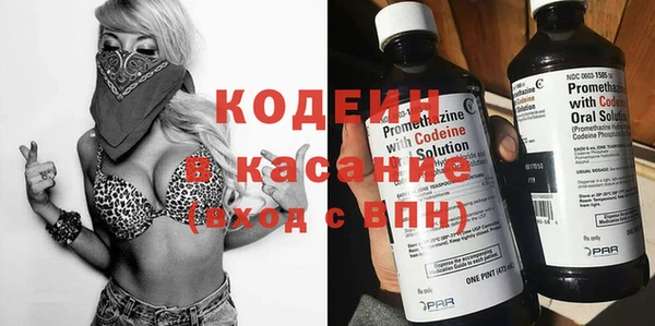 стаф Ельня