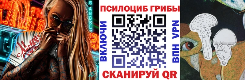 Галлюциногенные грибы Psilocybe Воскресенск
